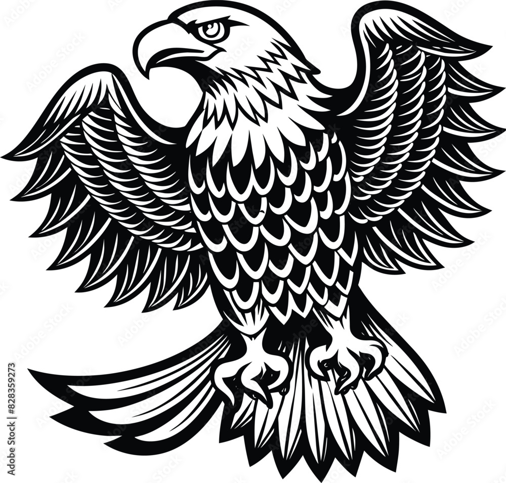 Obraz premium American eagle Eagle Vector illustration