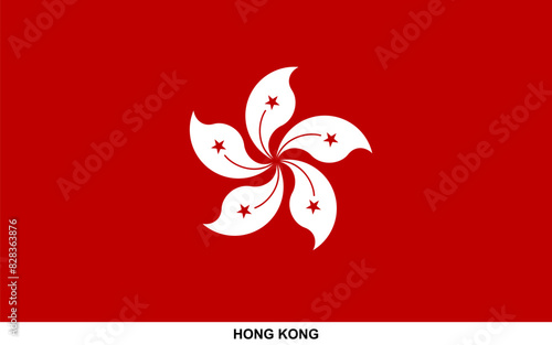 Flag of HONG KONG, HONG KONG flag