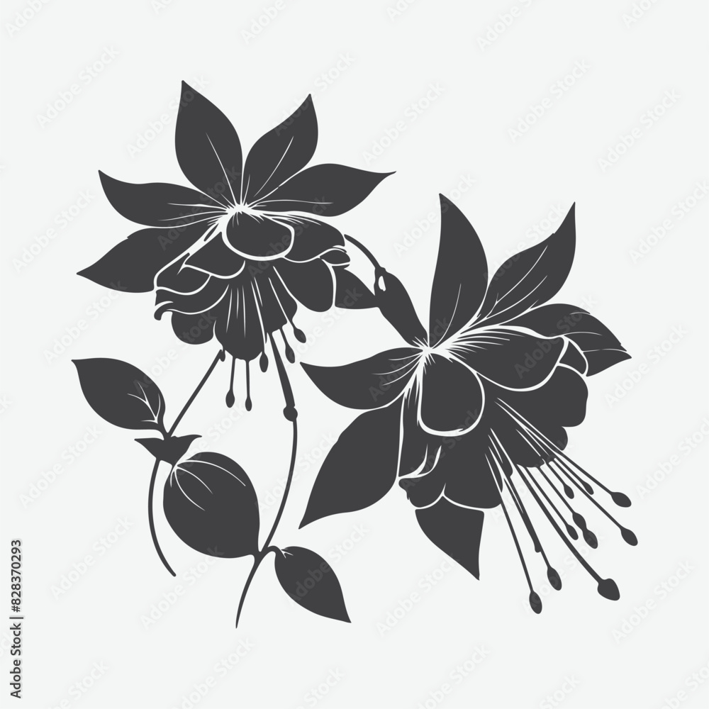 Fototapeta premium Print Elegant Fuchsia Flower Silhouette, A Stunning Botanical Masterpiece