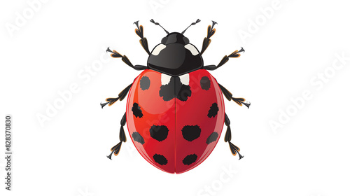 ladybug on white transparent background © Pornsurang