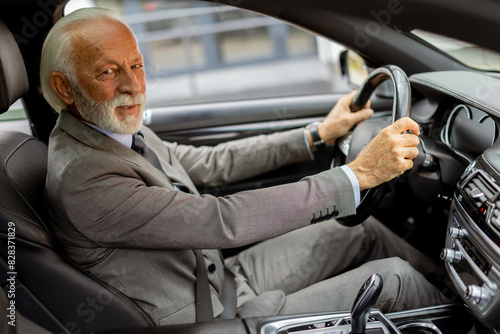 Distinguished elderly gentl...