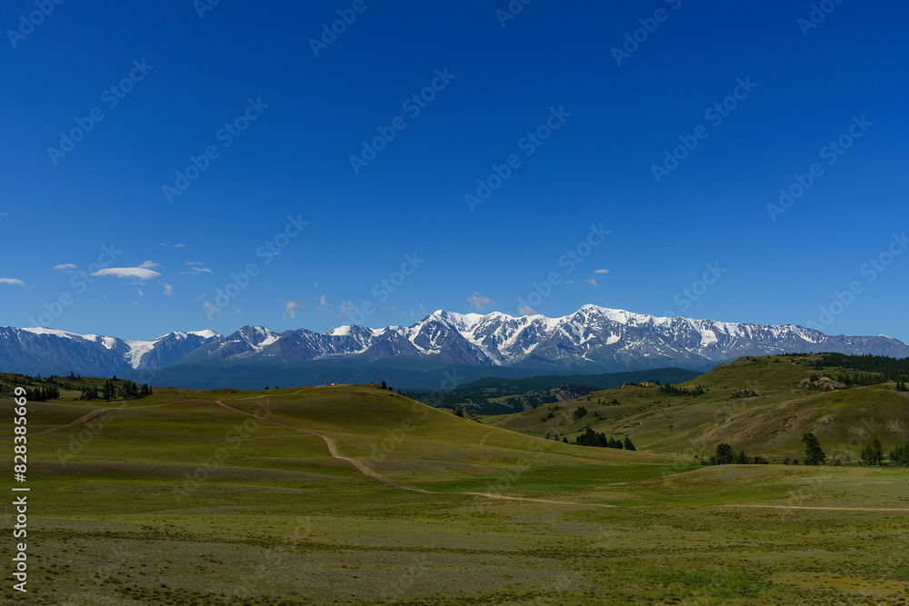 steppe with a range of mountains in the distance, snow peaks against a blue sky, a panorama of the Altai mountains