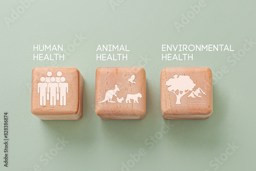 Wooden cube on green background with icon and the words symbolize the interconnection of human health, animal health, and environmental health. One health concept of a clean and healthy environment