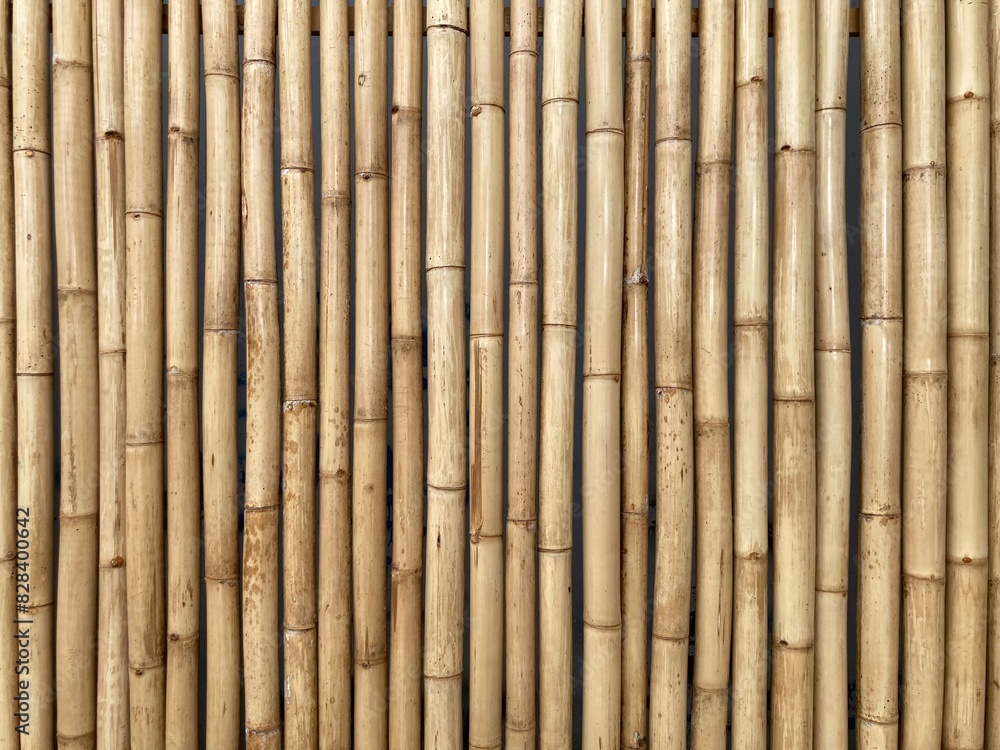 Fototapeta premium Natural brown bamboo stalks lined up to form a wall, using for background
