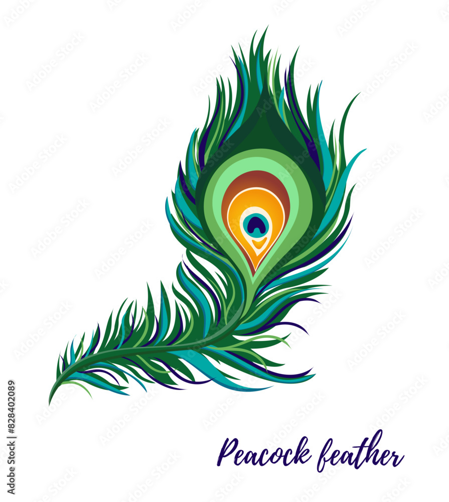 Obraz premium Vector festive peacock feather. Great for any designs, prints, for Krishna Janmashtami celebration. Indian festival decor, traditional decoration