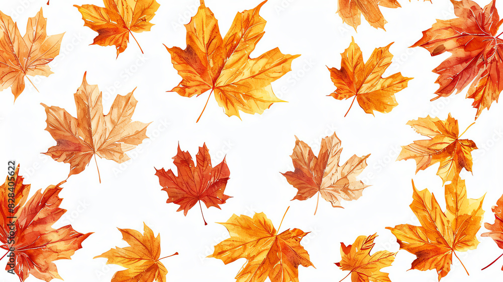 autumn leaves background on white transparent background autumn leaves background on white transparent background