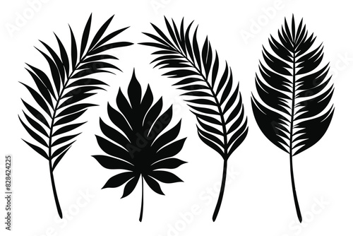 Set of palm leaves and branches black on white background