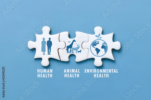 Jigsaw puzzle pieces on blue background with icon, the words symbolize the interconnection of human health, animal health, and environmental health. One health concept of a clean, healthy environment