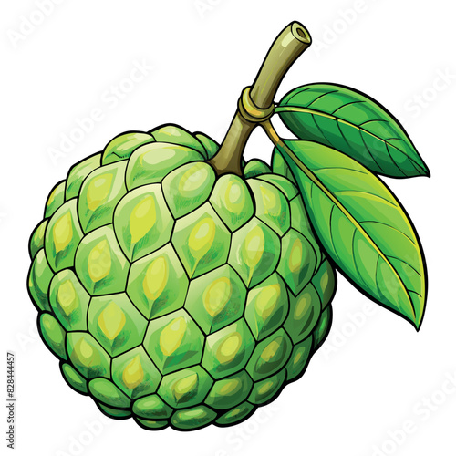 Custard Apple cartoon vector Illustration flat style artwork concept