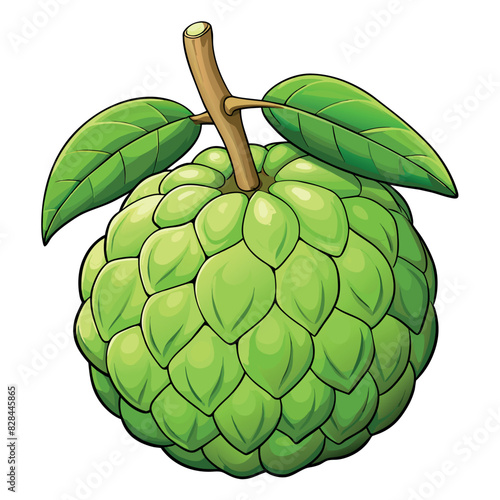 Custard Apple cartoon vector Illustration flat style artwork concept