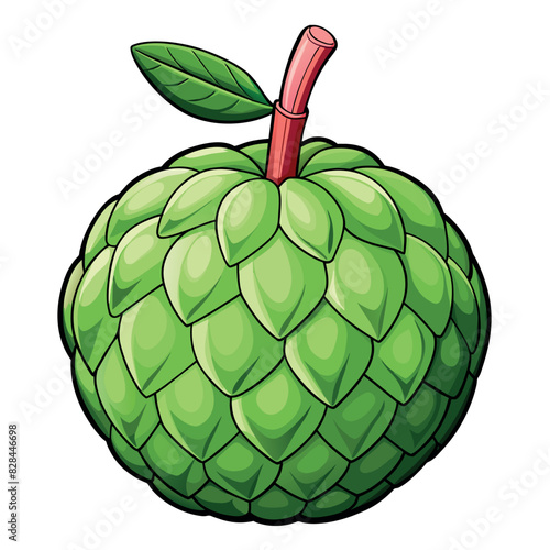 Custard Apple cartoon vector Illustration flat style artwork concept