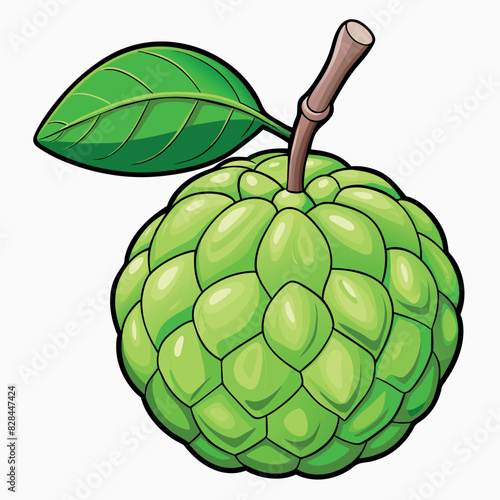 Custard Apple cartoon vector Illustration flat style artwork concept