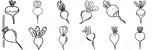 Set Of Beetradish Icons Silhouette Vector Logo Design Containing Food,Beet,Garden,Radish,Vegetable Outline Icons Collection. Simple Vector Illustration