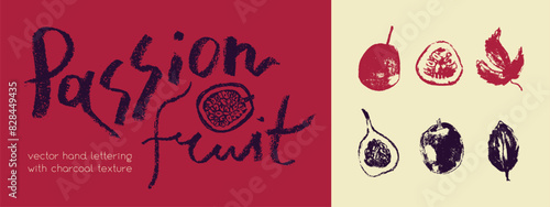 Passion fruit vector drawing in hand drawn style with rough charcoal and graphite texture. Color granadilla symbol for cosmetics, yogurt packaging, fruits puree labels. Hand lettering passion fruit