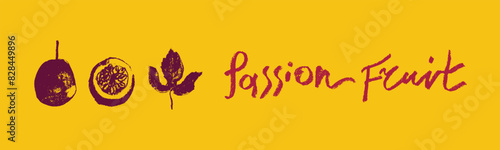 Passion fruit vector drawing in hand drawn style with rough charcoal and graphite texture. Color granadilla symbol for cosmetics, yogurt packaging, fruits puree labels. Hand lettering passion fruit