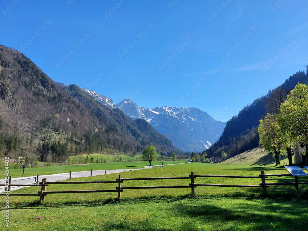 green nature at Logar valley. Kamnik Alps mountains. Slovenia