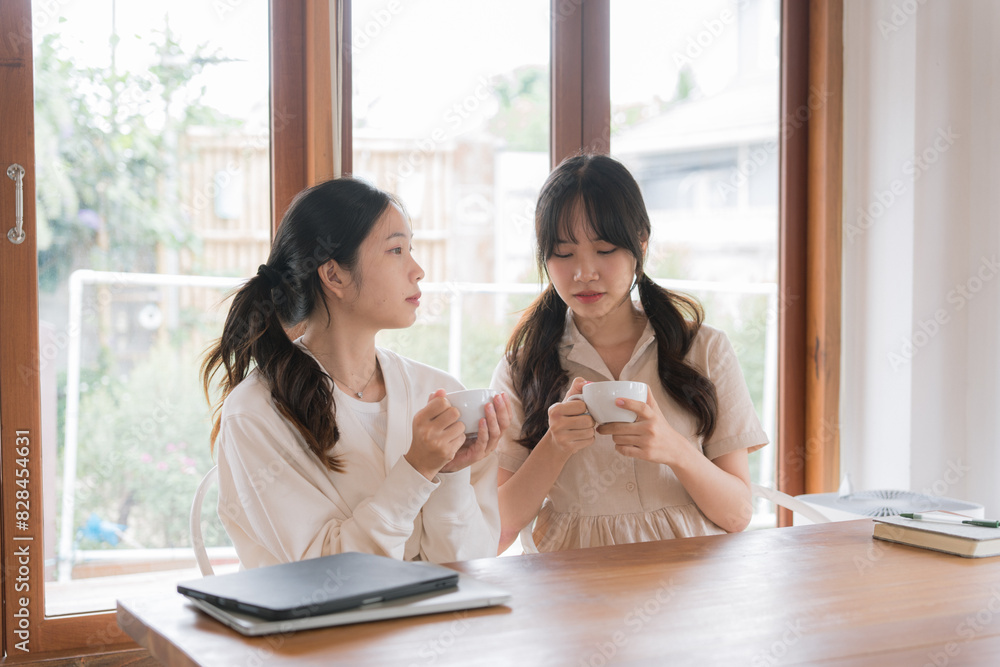 Two friends drinking coffee at home Two friends drinking coffee at home