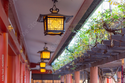 traditional lanterns hanged from the roof in Hie shrine in nagatacho, tokyo photo