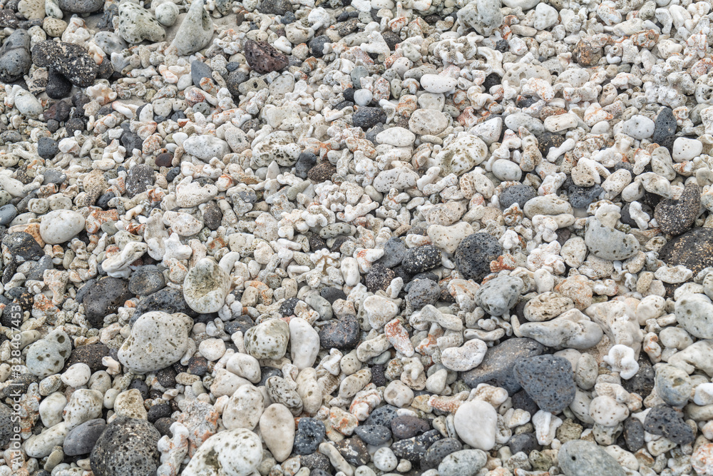 basalt gravel pebble、fragments of coral and shells on the beach. Kaloko Beach, Oahu Hawaii. Beach deposits
basalt gravel pebble、fragments of coral and shells on the beach. Kaloko Beach, Oahu Hawaii. Beach deposits
