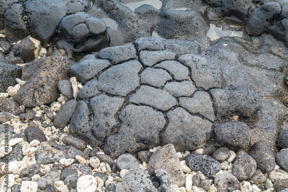 Weathering joints of basalt. Kalama flow / Koko Rift basalts, Honolulu