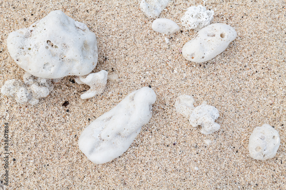 Calcareous fragments of coral and shells on the white sand beach, Kaloko Beach, Oahu Hawaii. Beach deposits Calcareous fragments of coral and shells on the white sand beach, Kaloko Beach, Oahu Hawaii. Beach deposits