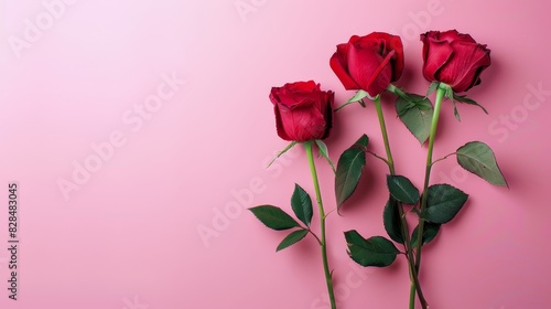 Red roses are displayed on a pink background
