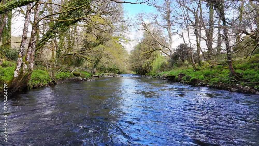 Drone flying over the River Dart under the medieval Newbridge in Dartmoor, Devon, England, UK Drone flying over the River Dart under the medieval Newbridge in Dartmoor, Devon, England, UK