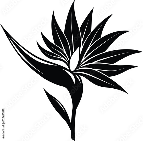 Bird of paradise flower Silhouette Vector illustration