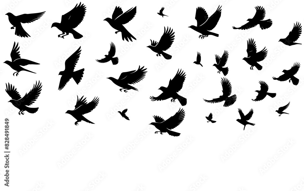 Fototapeta premium A flock of flying birds. Vector illustration, silhouettes of birds