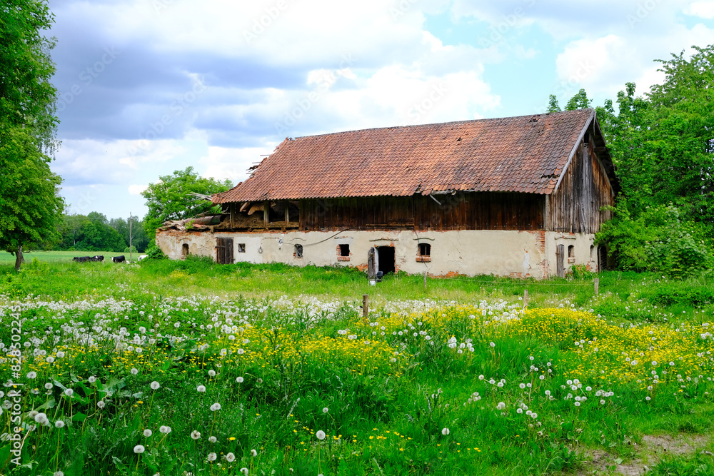 Fototapeta premium Rural scenery with old brick and wooden barn with red roof in countryside