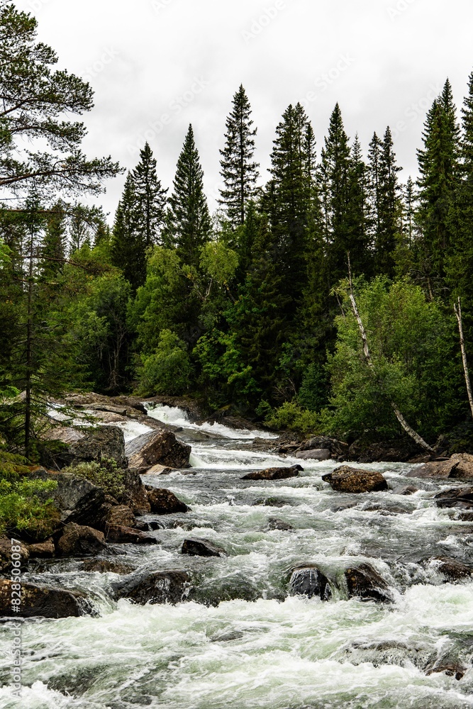 Picturesque Swedish river surrounded by dense evergreen foliage. Picturesque Swedish river surrounded by dense evergreen foliage.