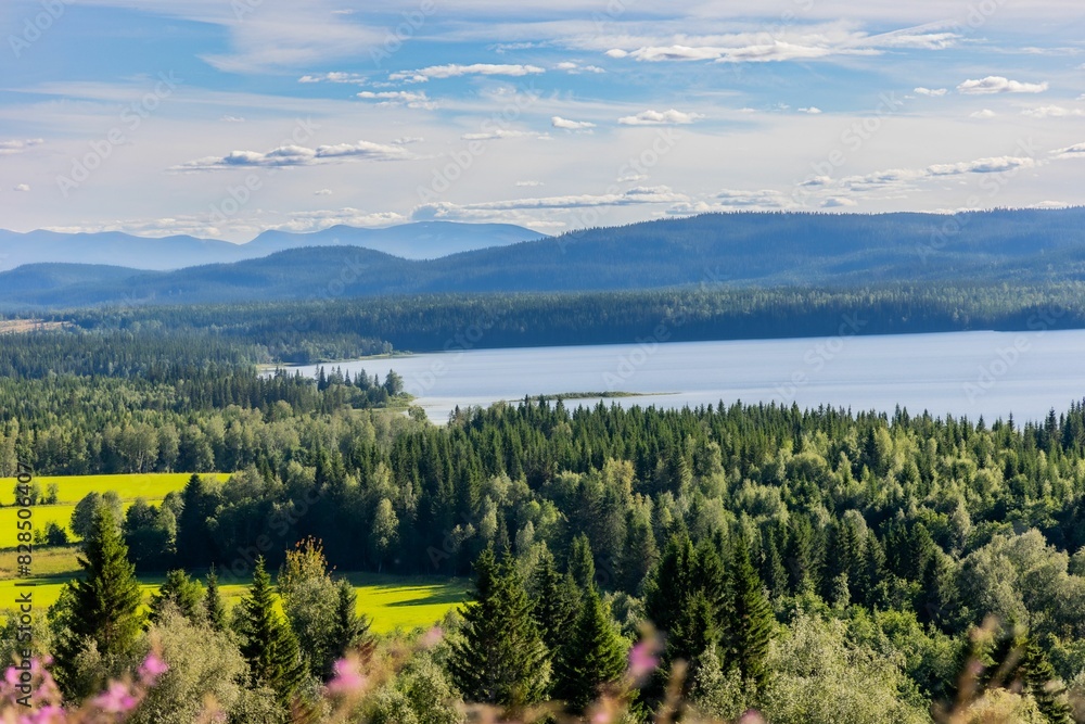 Fototapeta premium a view over a lake and a forest area, mountains in the distance