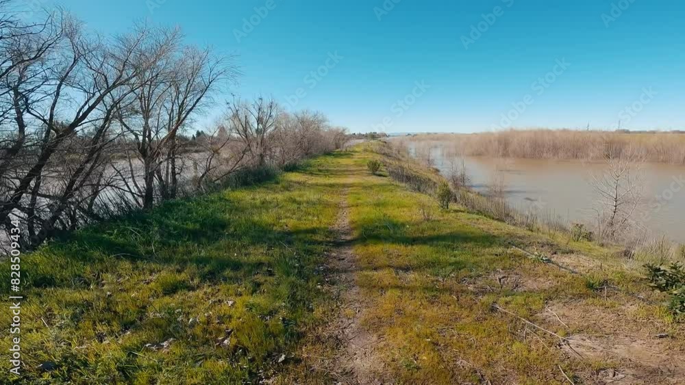 View from a bike ride on the levee of Sacramento River in winter with leafless trees and grass View from a bike ride on the levee of Sacramento River in winter with leafless trees and grass