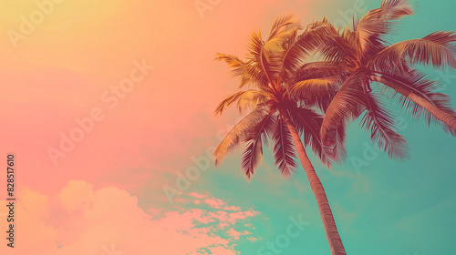sky in pink tones with a palm tree view from below. Green coconut palm trees on summer colorful pink sky with copy space. Beautiful tropical seascape background minimal style