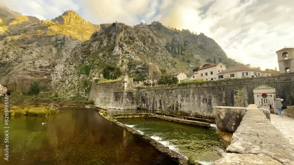 Shot of a cat moving in front of the camera, with Kotor's River Gate in the background. Shot of a cat moving in front of the camera, with Kotor's River Gate in the background.