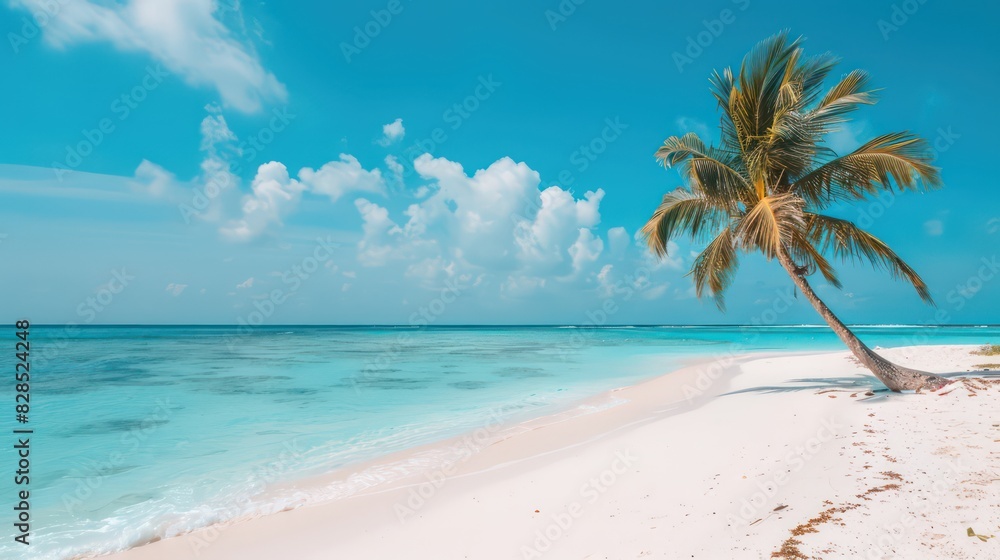 tropical holiday's wallpaper with nice beach and sunshine
