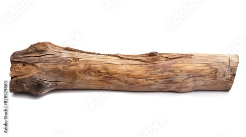 wooden log isolated on a white background 
 photo