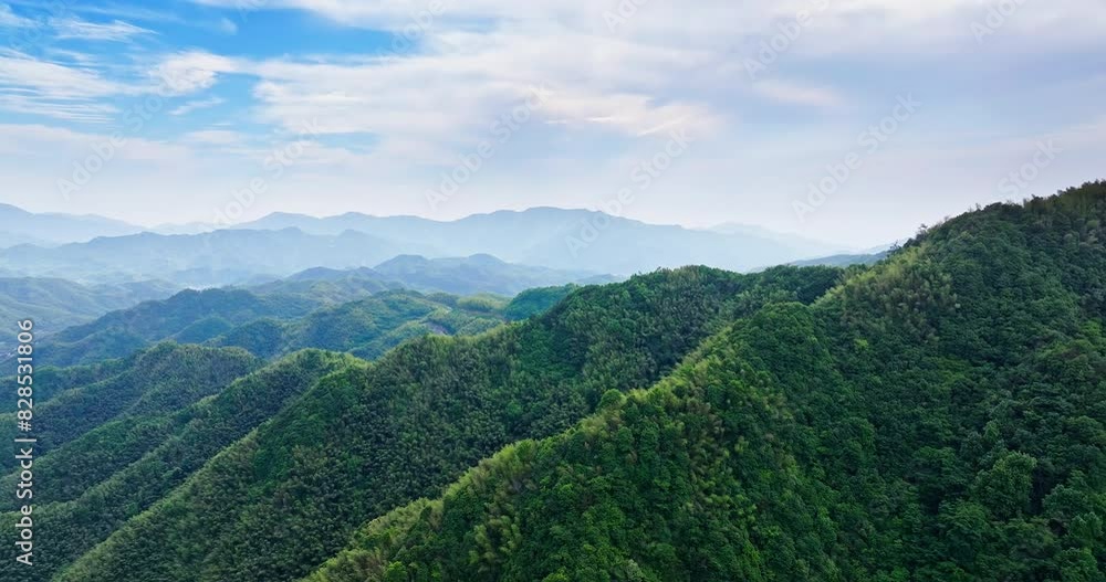 Aerial view of green forest and mountain nature landscape in summer Aerial view of green forest and mountain nature landscape in summer