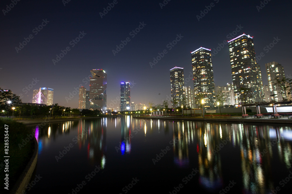 Obraz premium Night Lights at Central Pak Incheon Korea