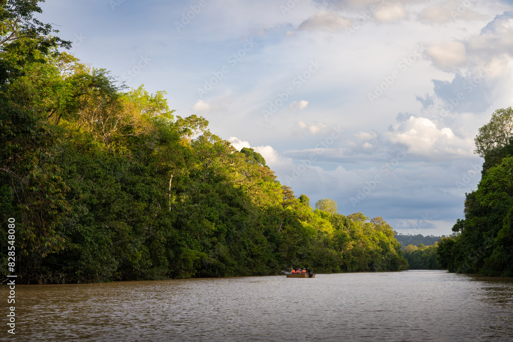 Fototapeta premium Kinabatangan River in Malaysia