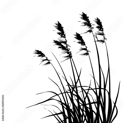 lily silhouette, lily svg, lily png, lily illustration, lily, silhouette flower, floral svg, herb svg, flower illustration, flower, floral, vector, nature, illustration, spring, design, pattern, summe