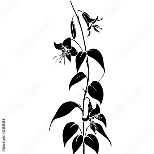 lily silhouette, lily svg, lily png, lily illustration, lily, silhouette flower, floral svg, herb svg, flower illustration, flower, floral, vector, nature, illustration, spring, design, pattern, summe