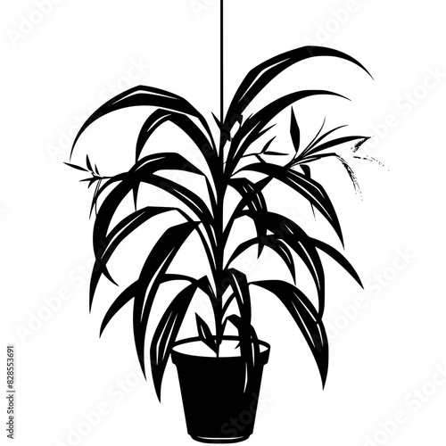 lily silhouette, lily svg, lily png, lily illustration, lily, silhouette flower, floral svg, herb svg, flower illustration, flower, floral, vector, nature, illustration, spring, design, pattern, summe