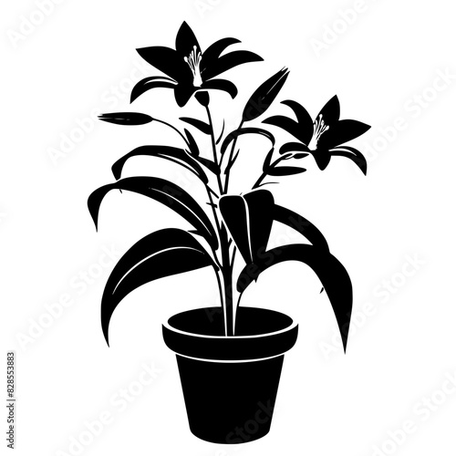 lily silhouette, lily svg, lily png, lily illustration, lily, silhouette flower, floral svg, herb svg, flower illustration, flower, floral, vector, nature, illustration, spring, design, pattern, summe