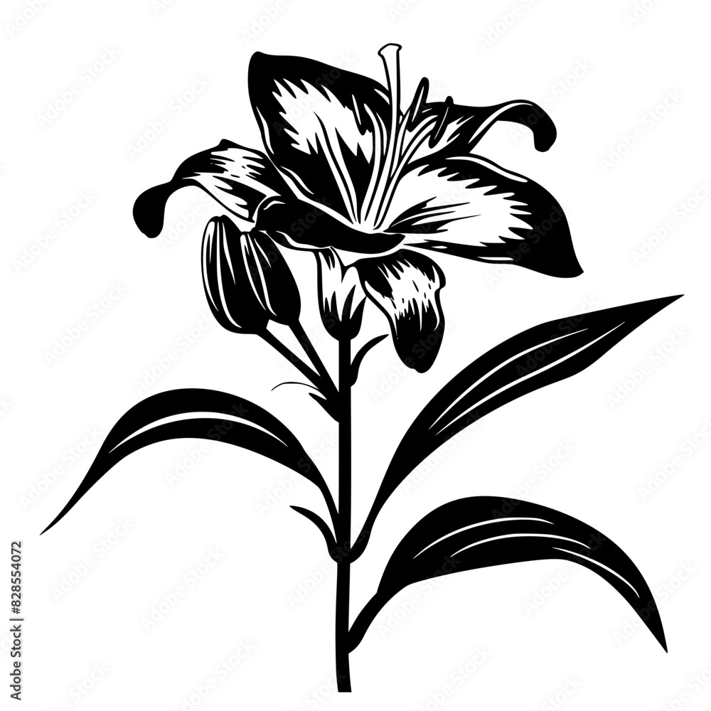 Obraz premium lily silhouette, lily svg, lily png, lily illustration, lily, silhouette flower, floral svg, herb svg, flower illustration, flower, floral, vector, nature, illustration, spring, design, pattern, summe