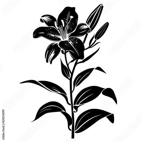 lily silhouette, lily svg, lily png, lily illustration, lily, silhouette flower, floral svg, herb svg, flower illustration, flower, floral, vector, nature, illustration, spring, design, pattern, summe