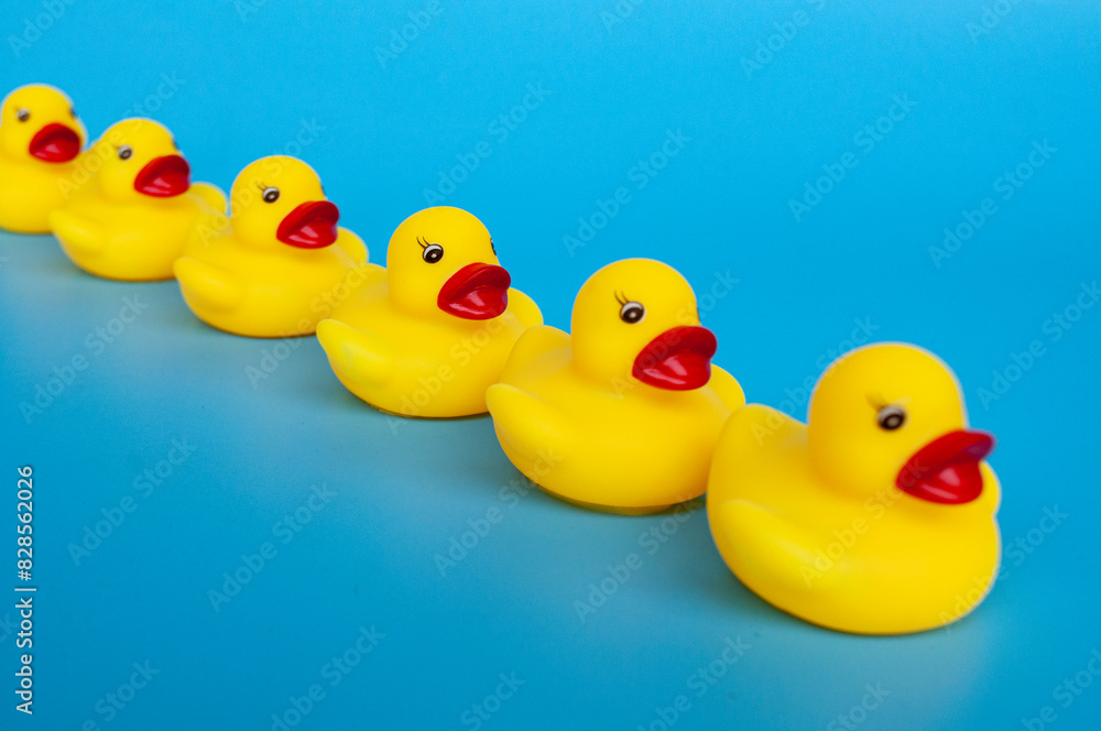 Rubber duck swimming with customizable space for text. Leadership and copy space concept Rubber duck swimming with customizable space for text. Leadership and copy space concept