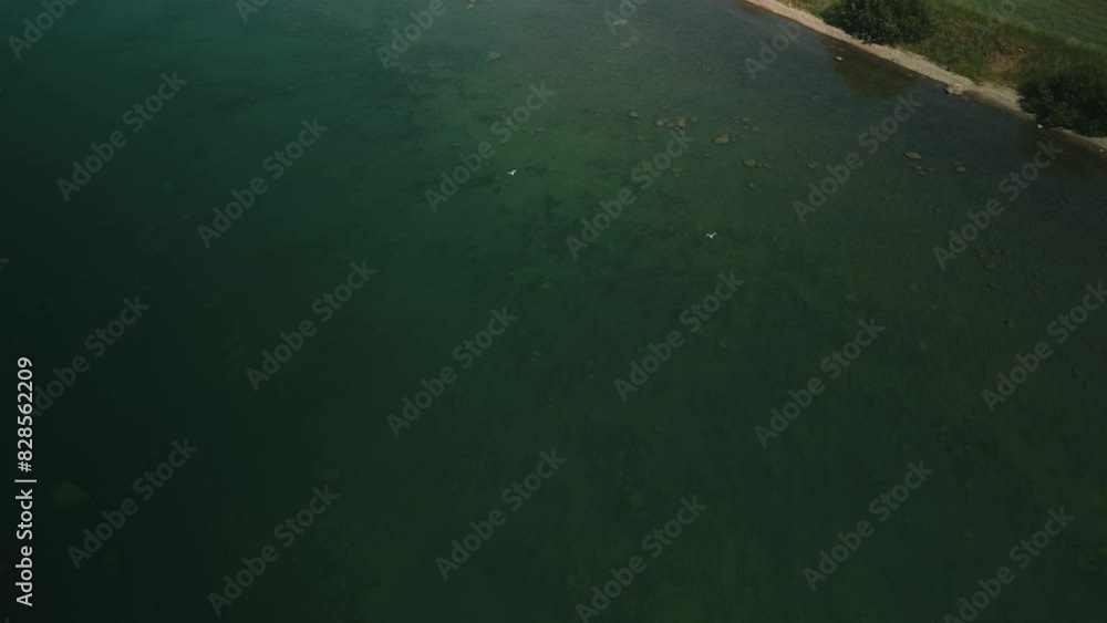 Bird's eye view of two white birds flying close to each other above the lake. Bird's eye view of two white birds flying close to each other above the lake.