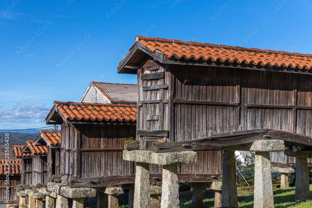 Conjunto de hórreos, A Merca, Orense, Galicia, España Conjunto de hórreos, A Merca, Orense, Galicia, España