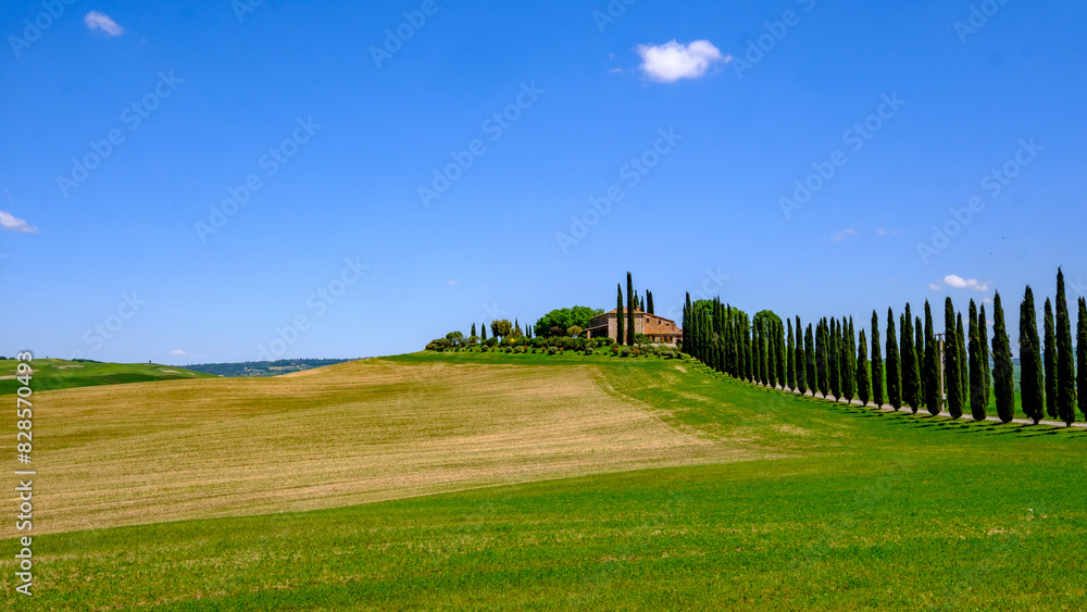 Fototapeta premium Val d'Orcia